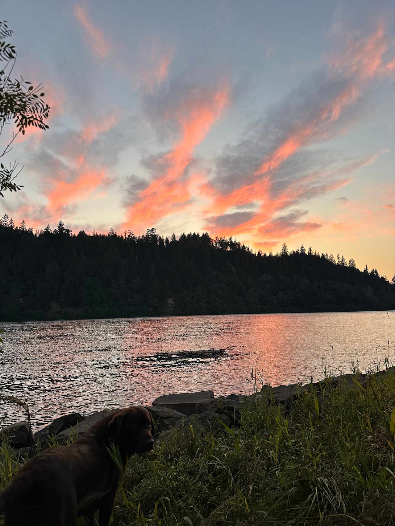 Columbia River Camping