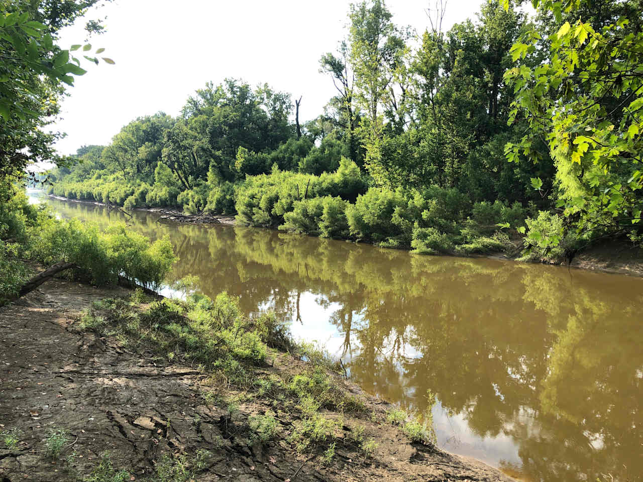 BLACK RIVER CAMPSITE MISSISSIPPI