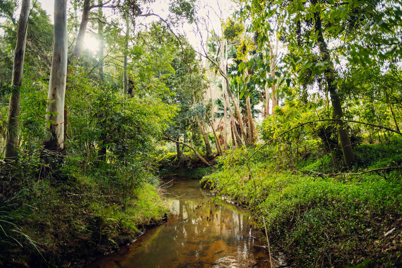 Creek that runs through the property