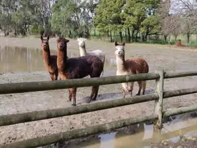 Farm Stay On The Valley