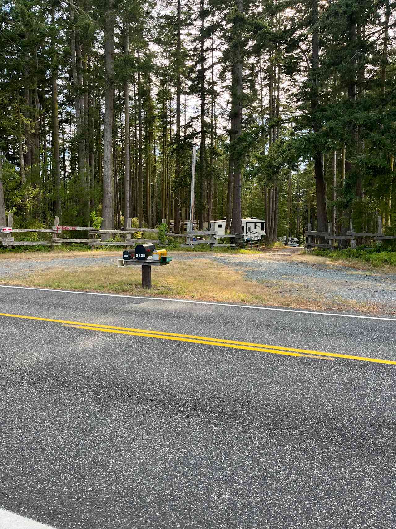 Monkey Hill @Deception Pass Retreat