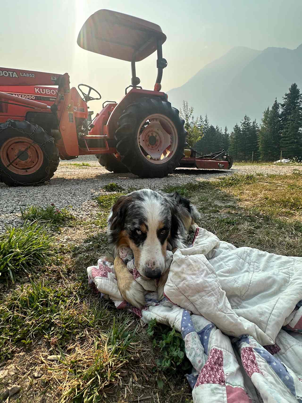 Camping with Kootenay Born