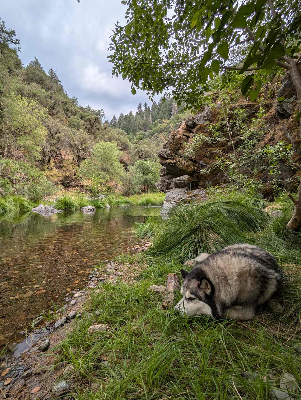 Strange Ranch - River and Gold