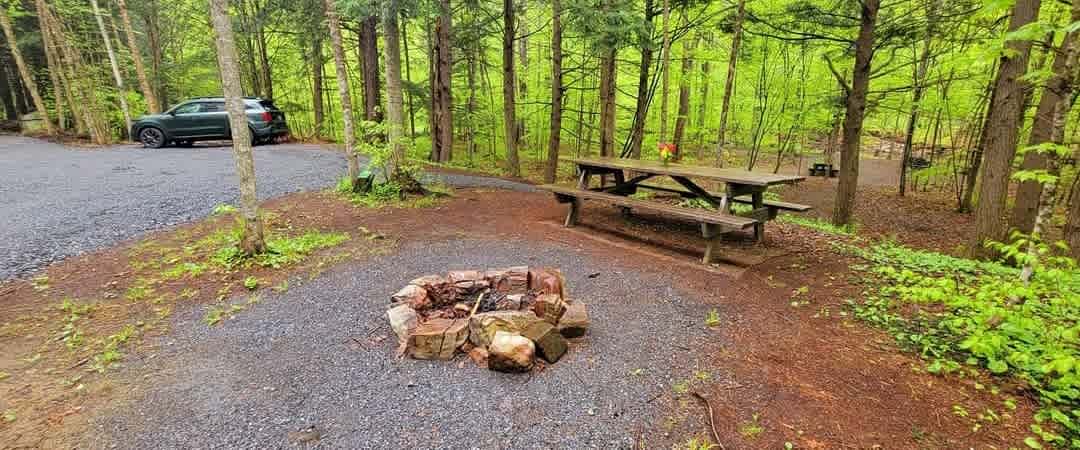 Shady Grove got a face-lift! This is the upper area. We expanded the parking area in the summer of 2024 to accommodate more vehicles, car camping, and small, off road type campers, vans, etc.