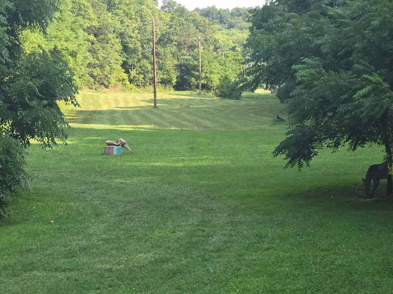 Appalachian Outdoors