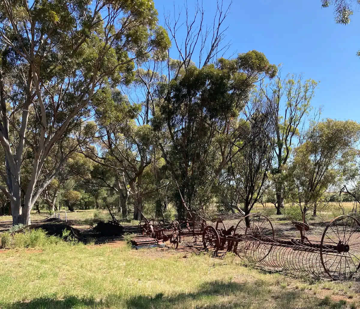 Belalie Wines Farmstay