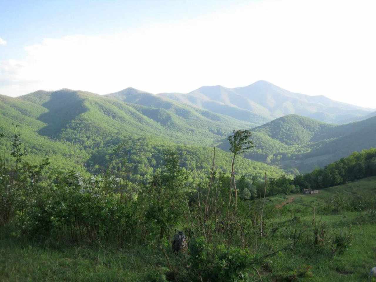 Tiny Cabin Sanctuary Asheville