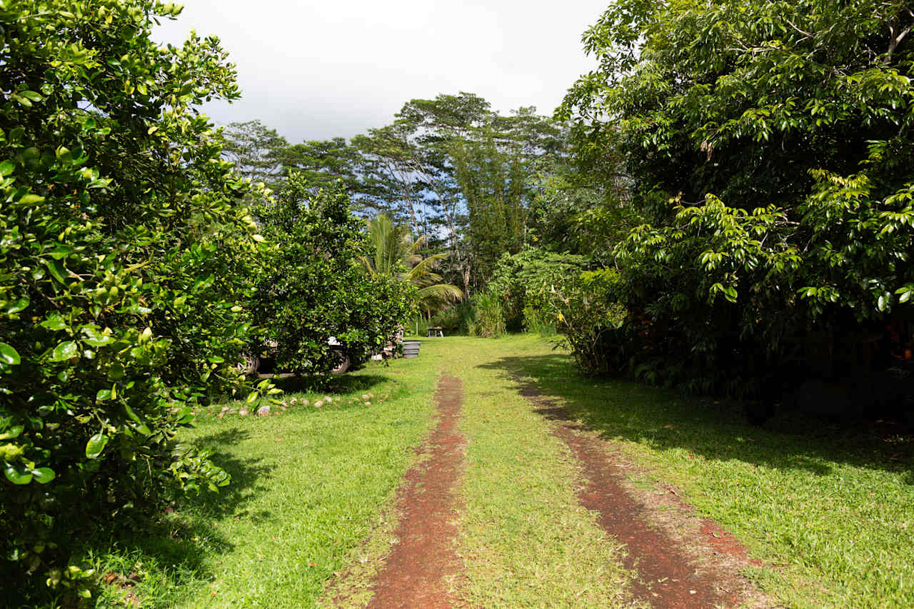 Hawai'i Roots and Branches Farm