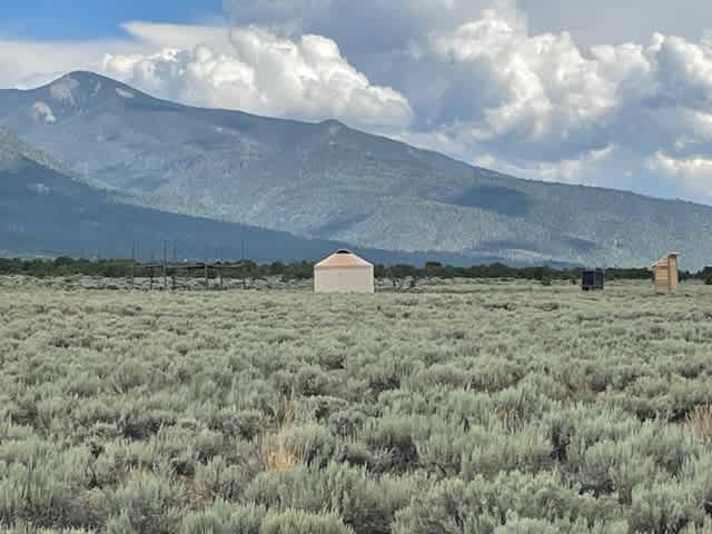 The Mushroom Yurt