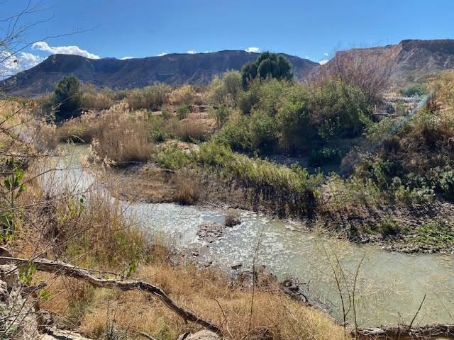 Ongster Lands Rio Grande River