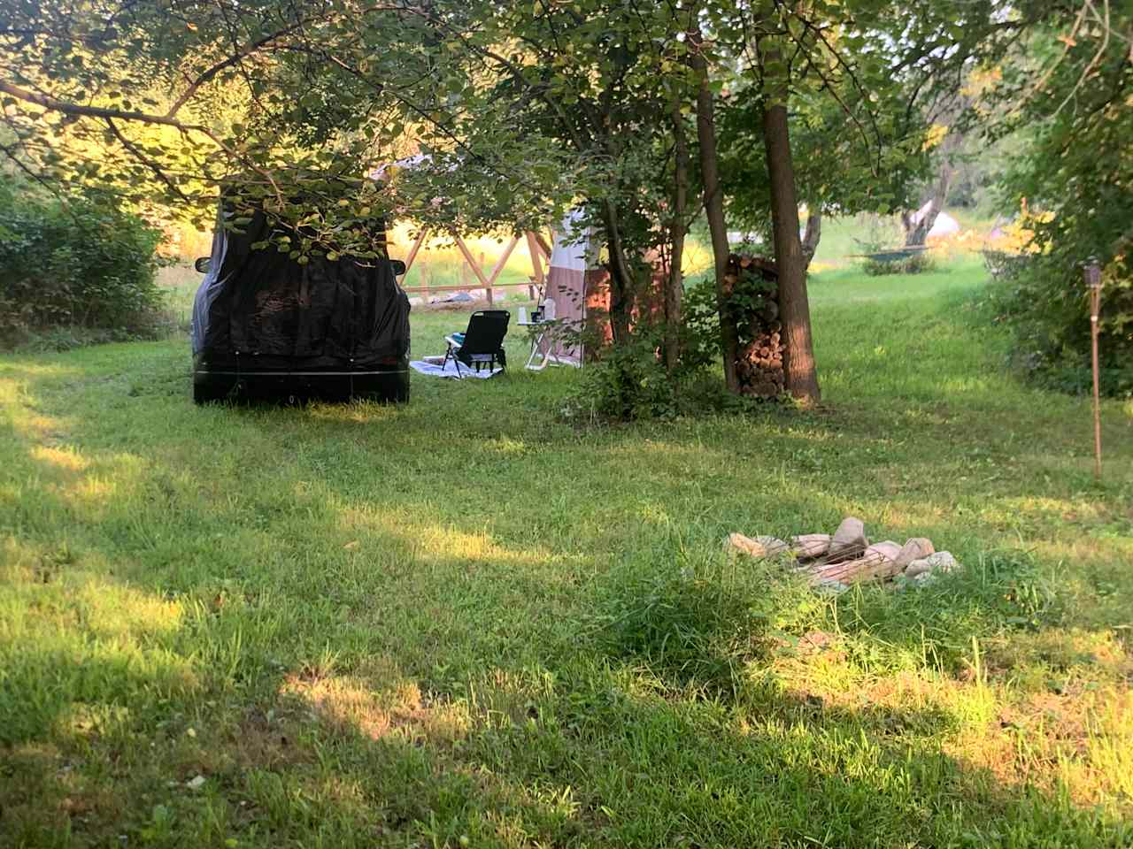 Fire pit and free logs from back of site