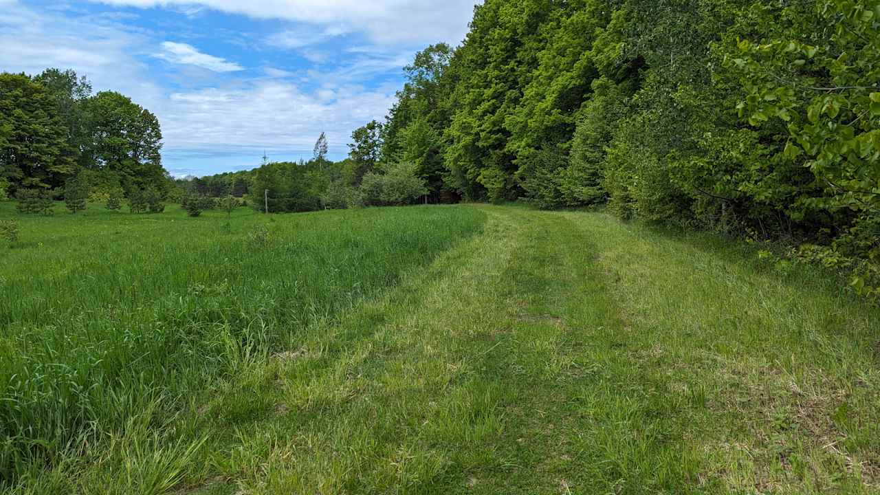 Hidden Meadow