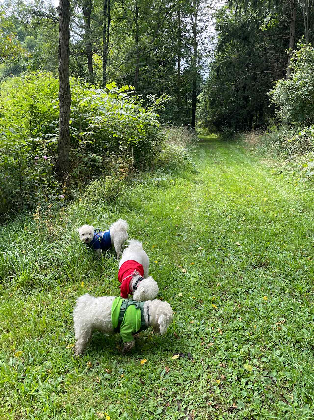 Braemar Valley Nature Sanctuary