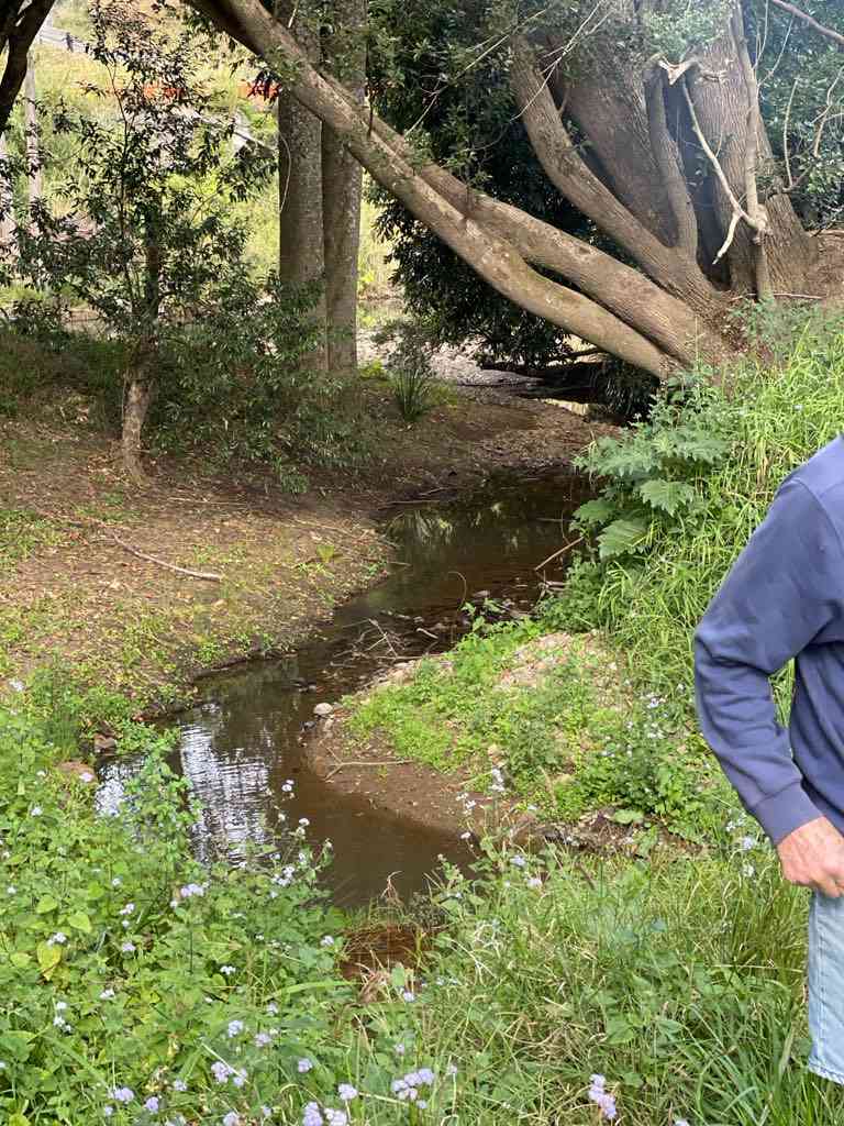 This is the junction of one creek where it joins the Tweed River