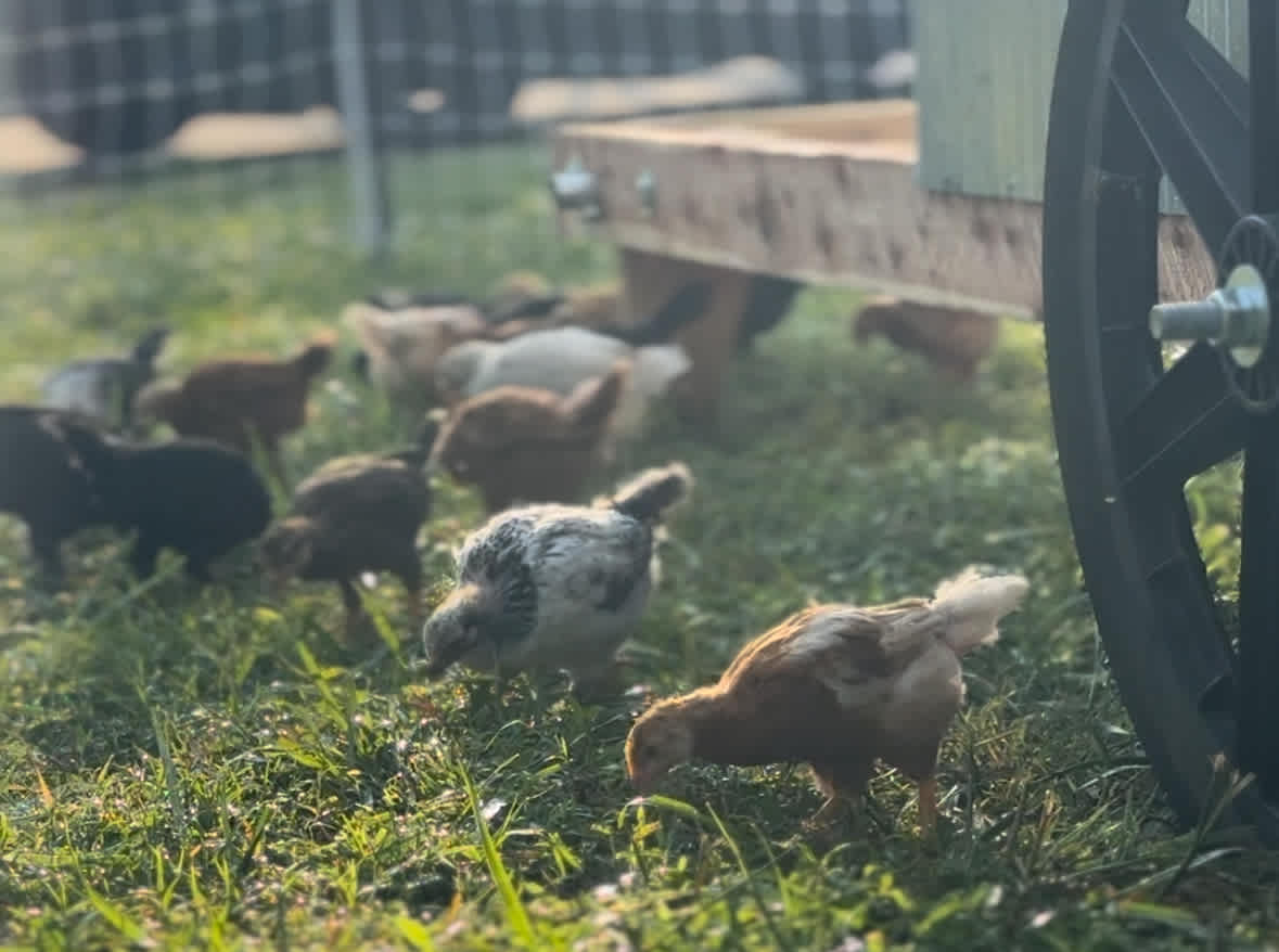 Hidden Paradise Farms