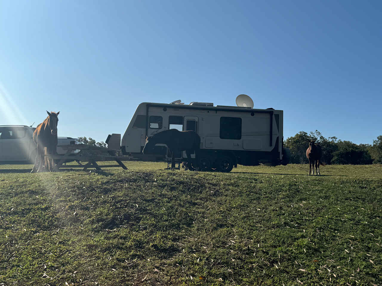 Ilbilbie Station Farm Stay