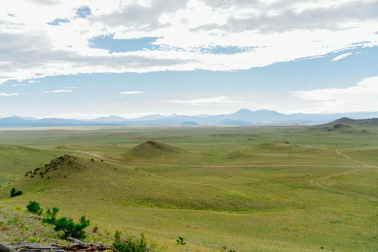 Pronghorn Oasis