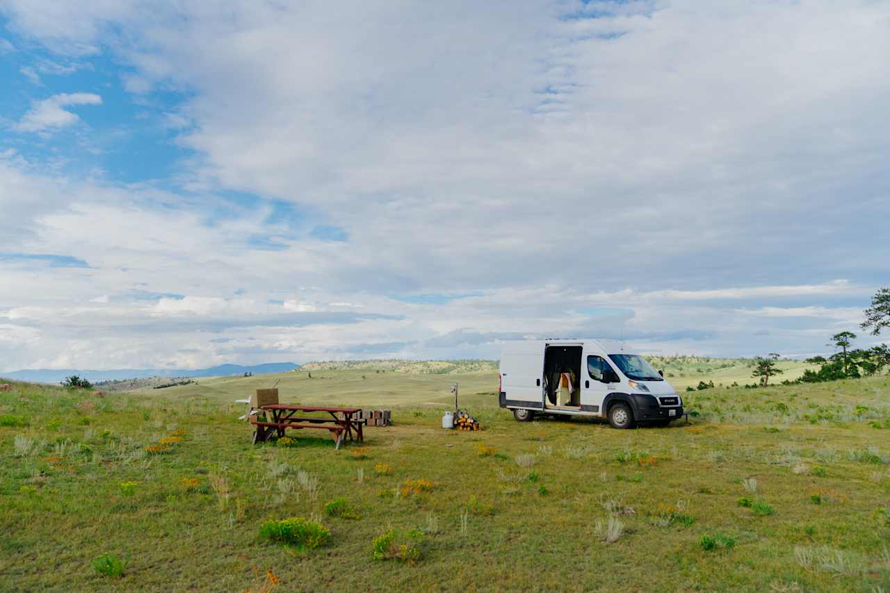 Pronghorn Oasis