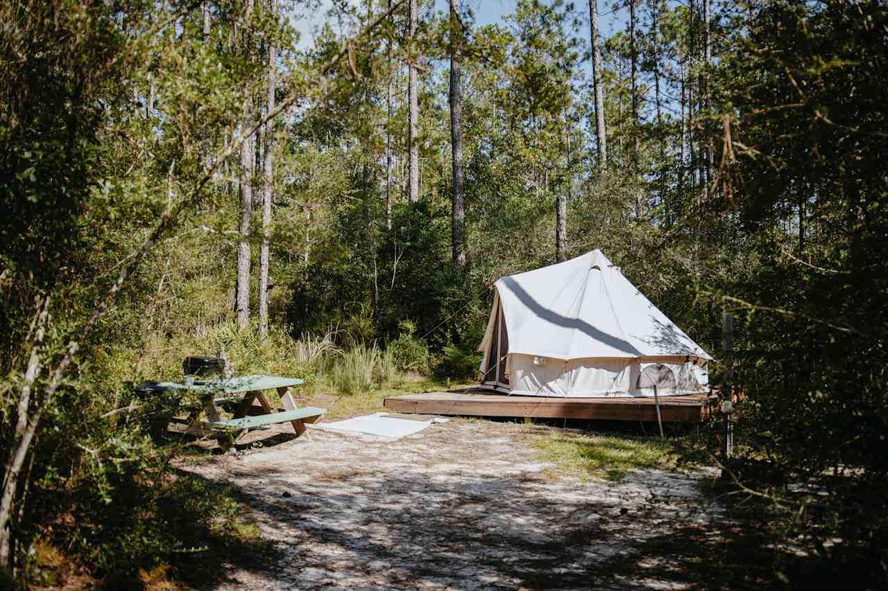 Yurt site #1 is a little more open.