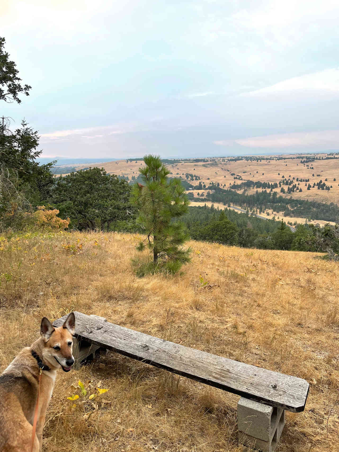 Short hike to the meadow view