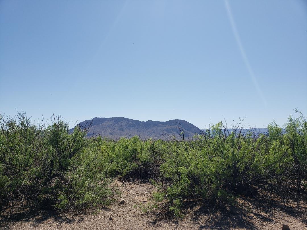 Ongster Lands Rio Grande River