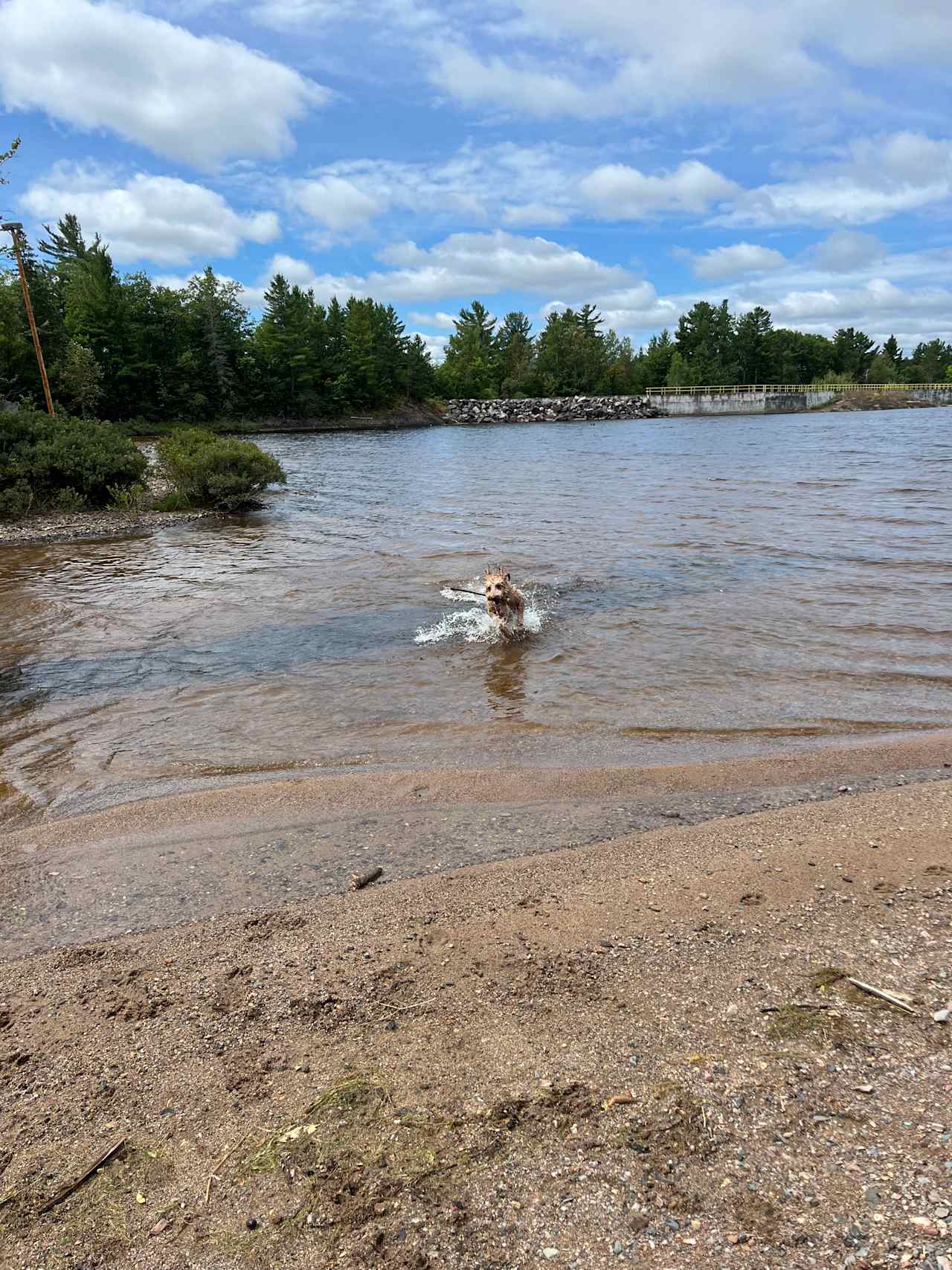 We walked the trails to the water basin and our pup enjoyed swimming while some of us fished!