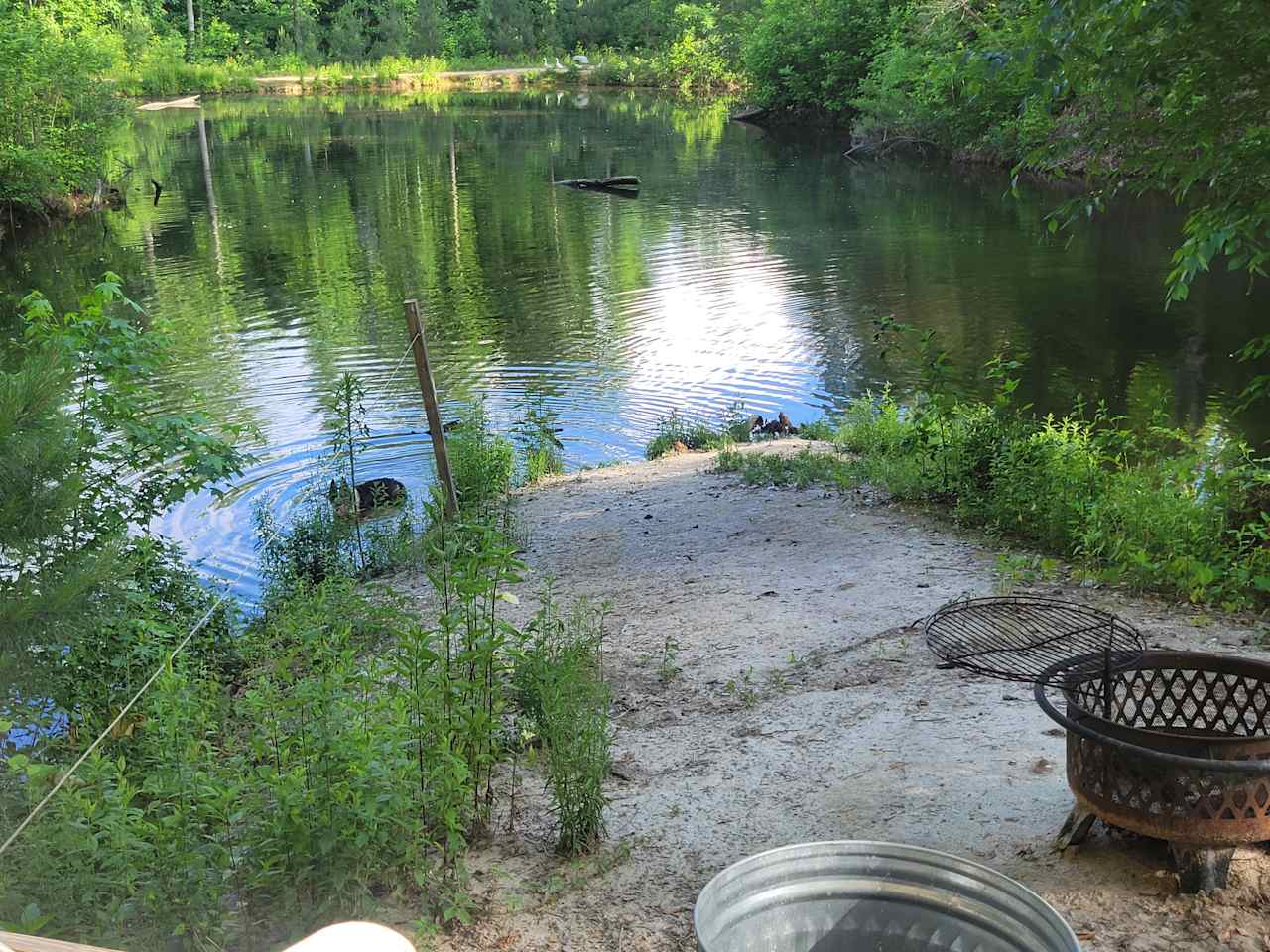 Pond on the property for use when no one is renting that tent site.  Plenty of fish.