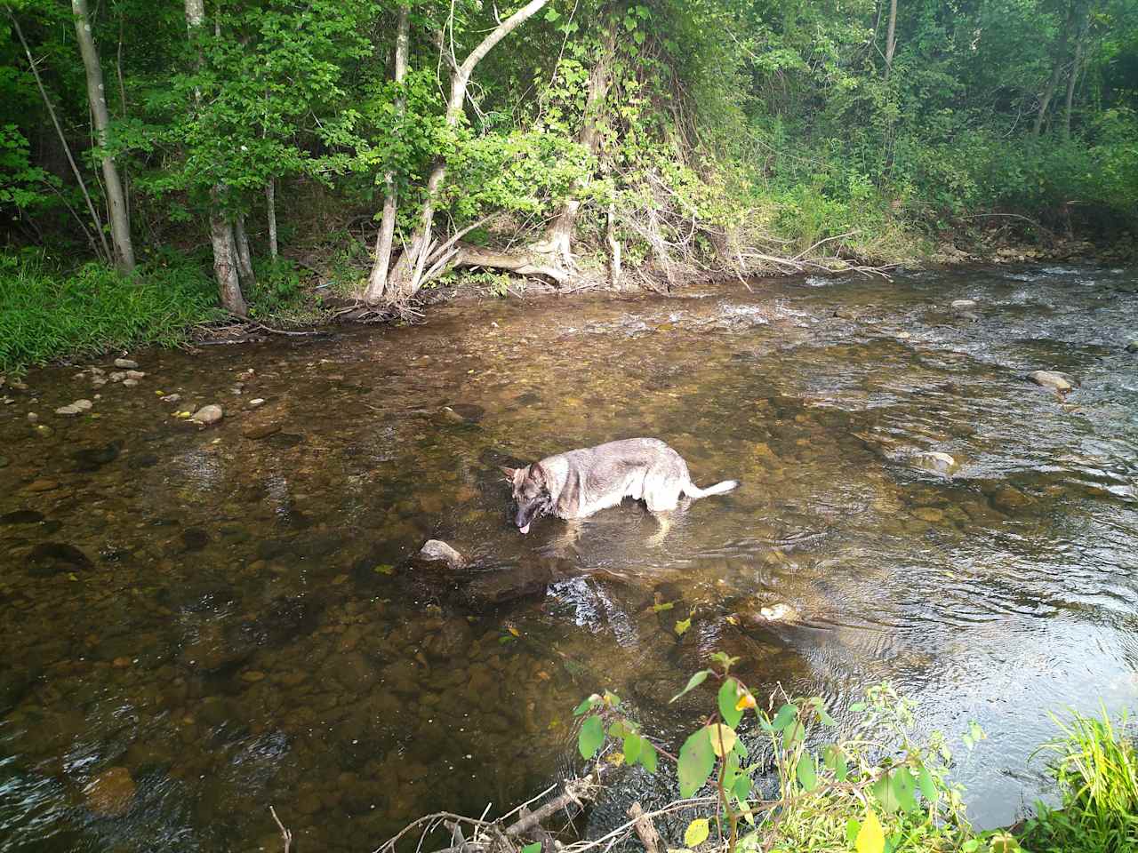 Stoney Creek Campground