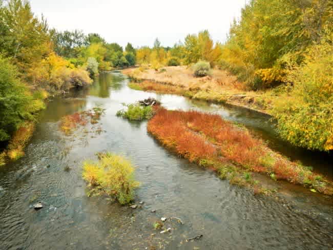 Echo River Farms