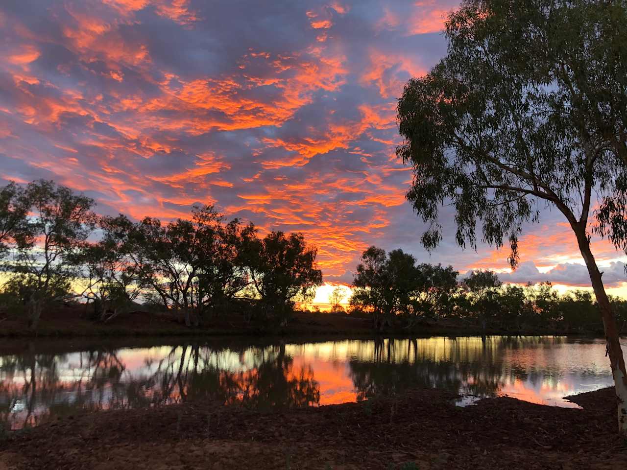 Dairy Creek Station Stay