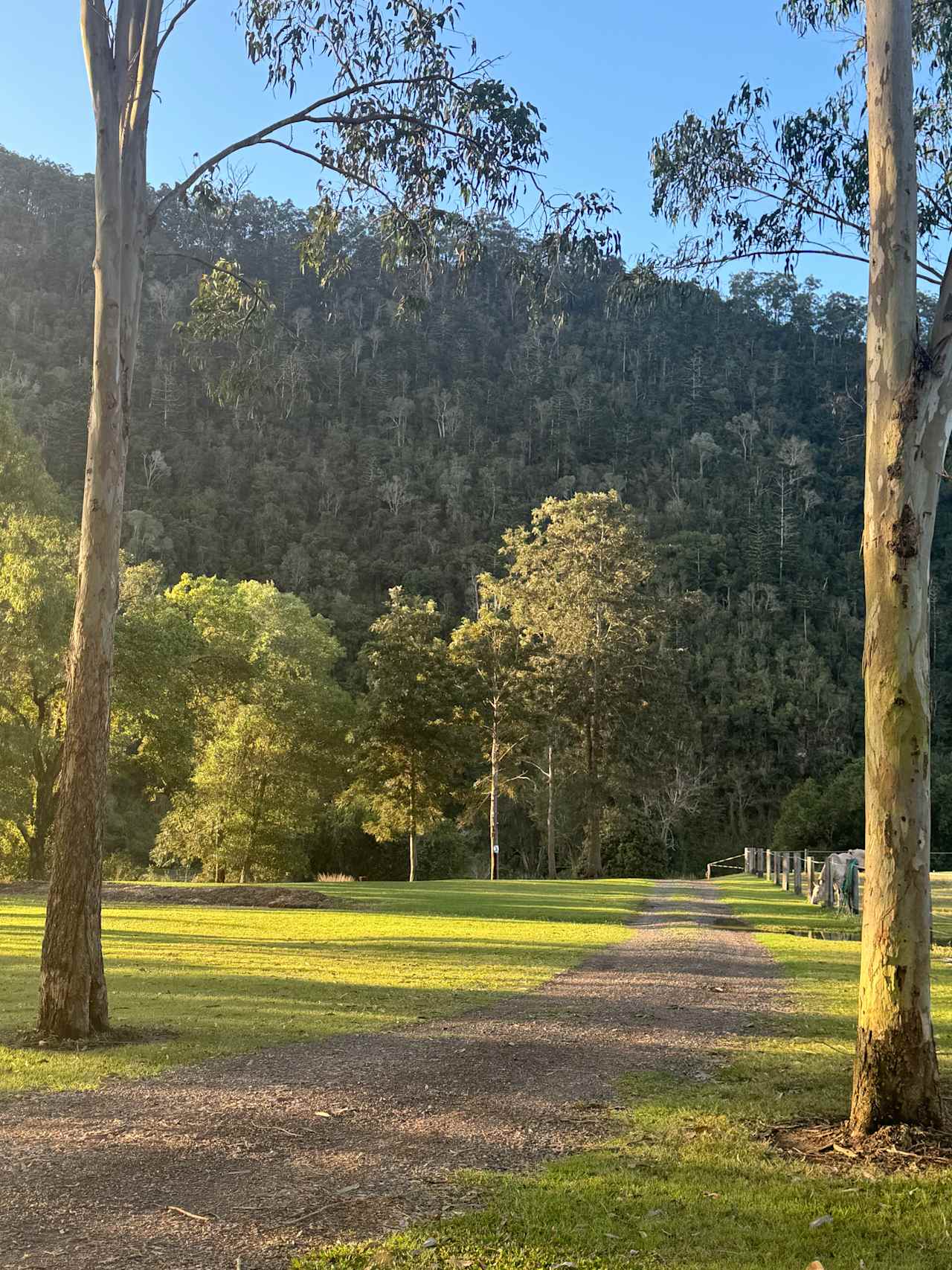 Yabba Creek Farm