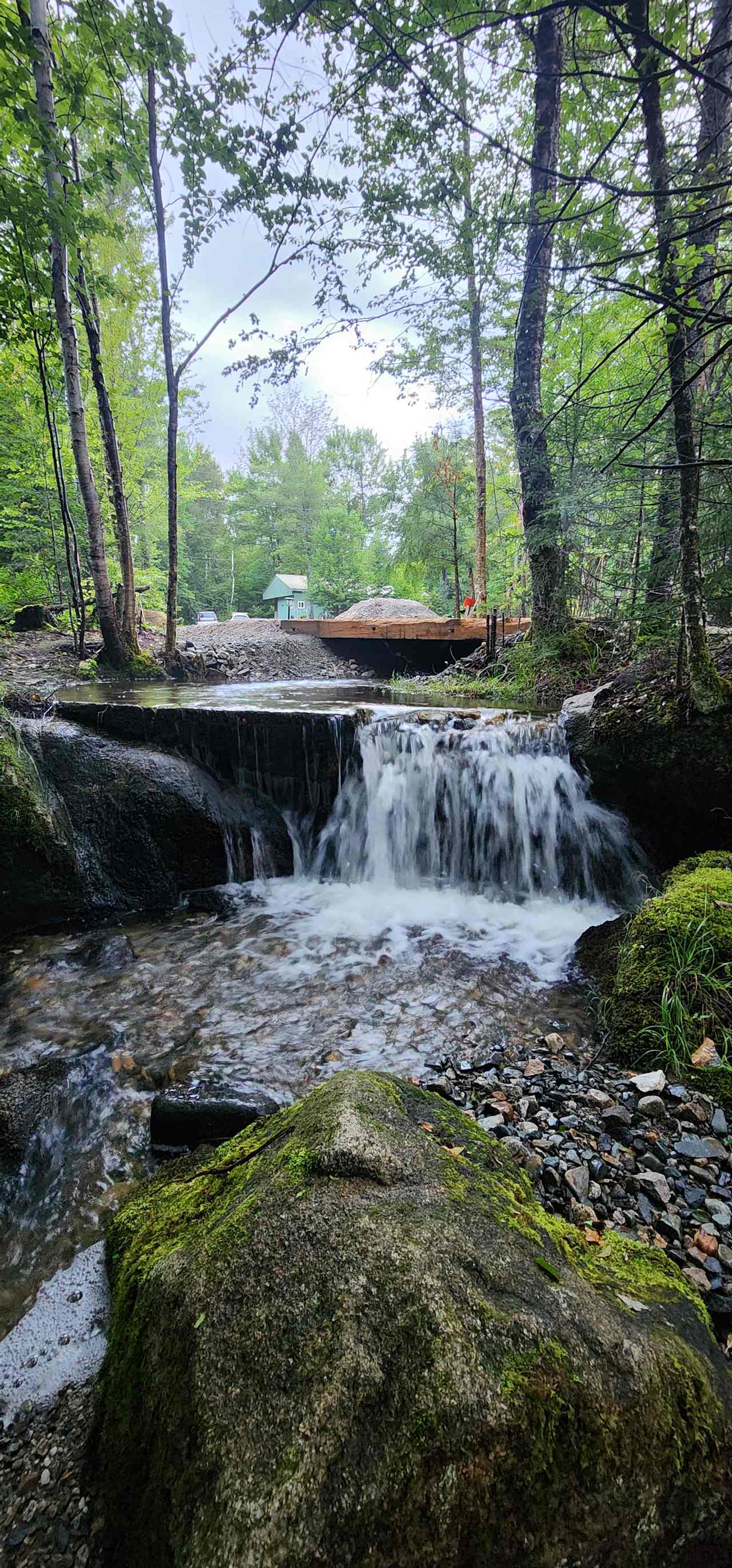 Carter Brook primitive camping