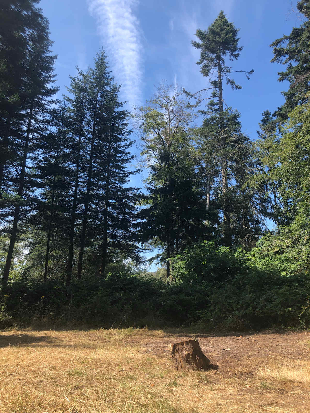 Sooke Camping