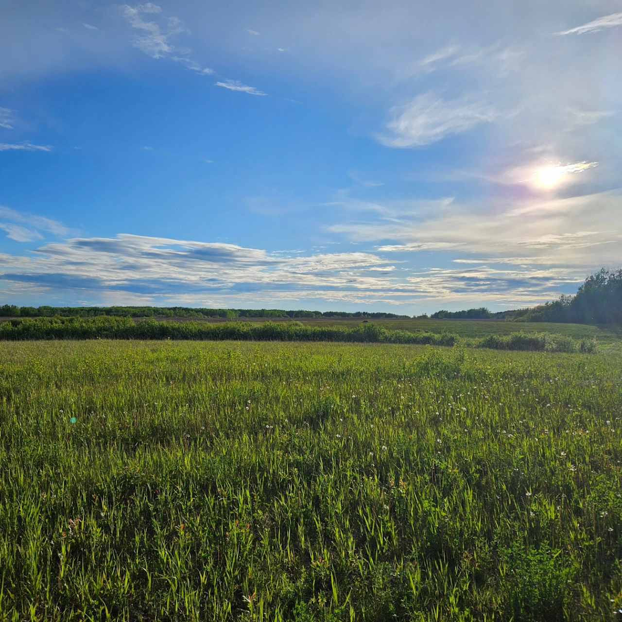 Forest's Edge Farm