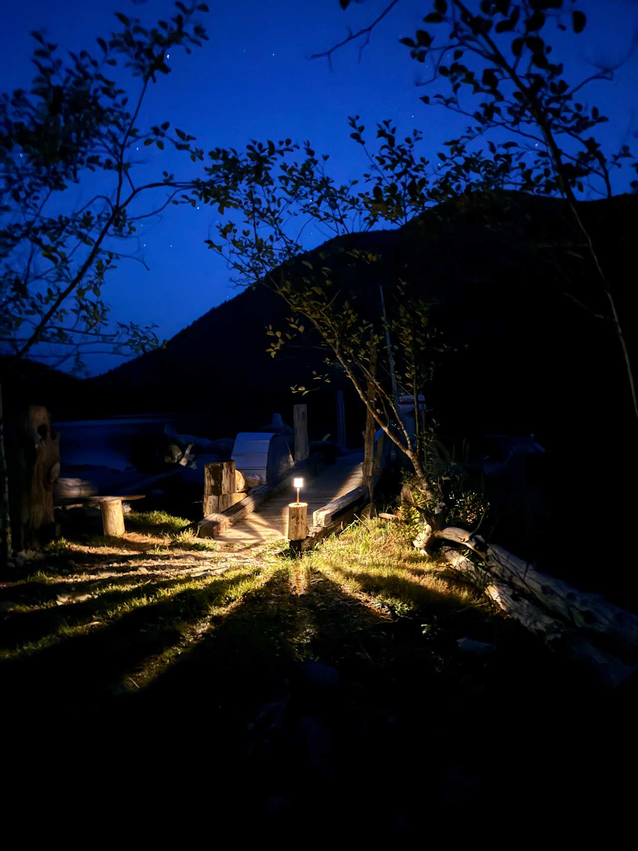 The lights that guide the way along the trails around the property 