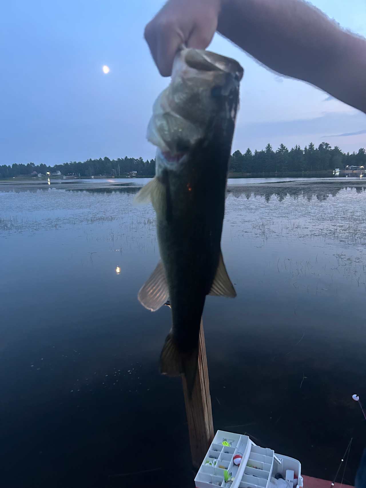 Little Trailer on Big Lake