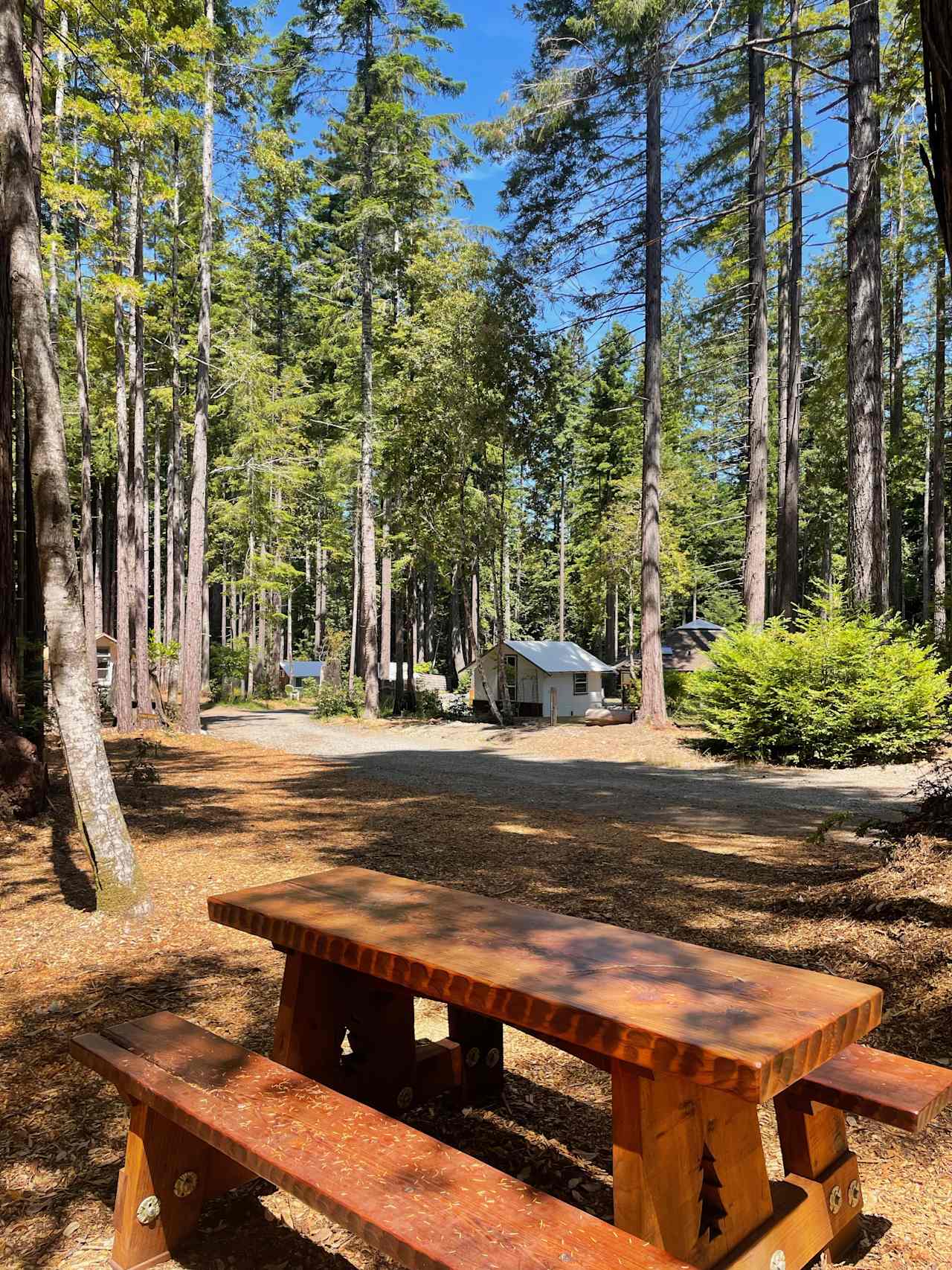 Heartwood Mendocino