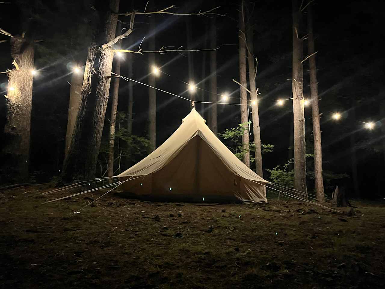 Frog hill tent