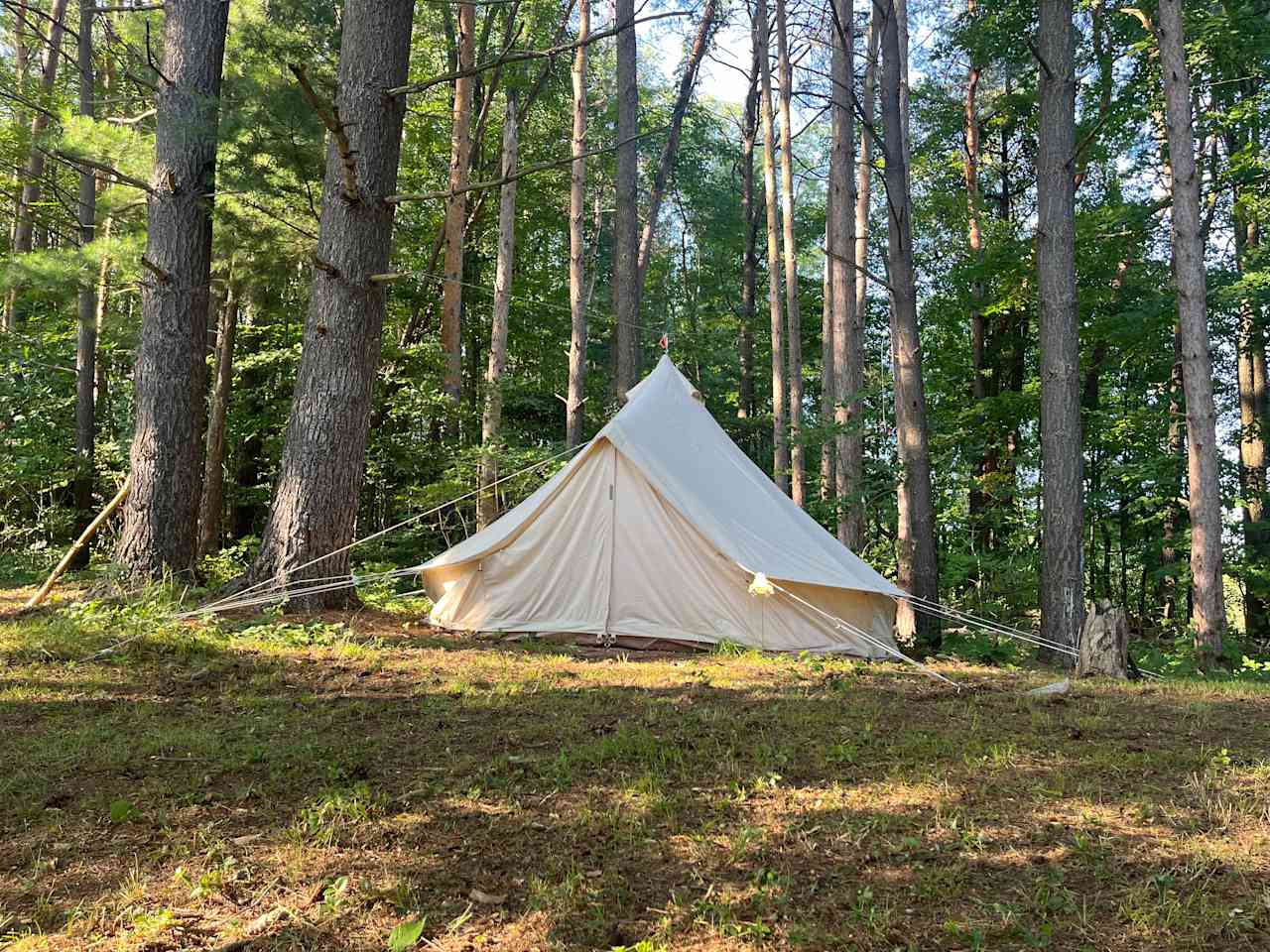 Frog hill tent