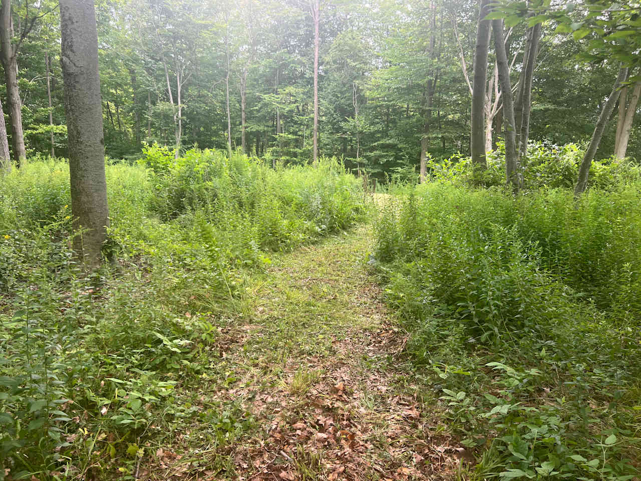 McCormick Farms Base Camp