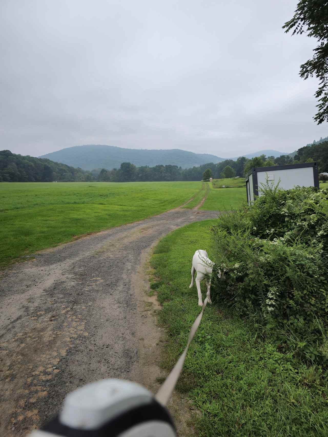 NEWE: Delaware River Campsite