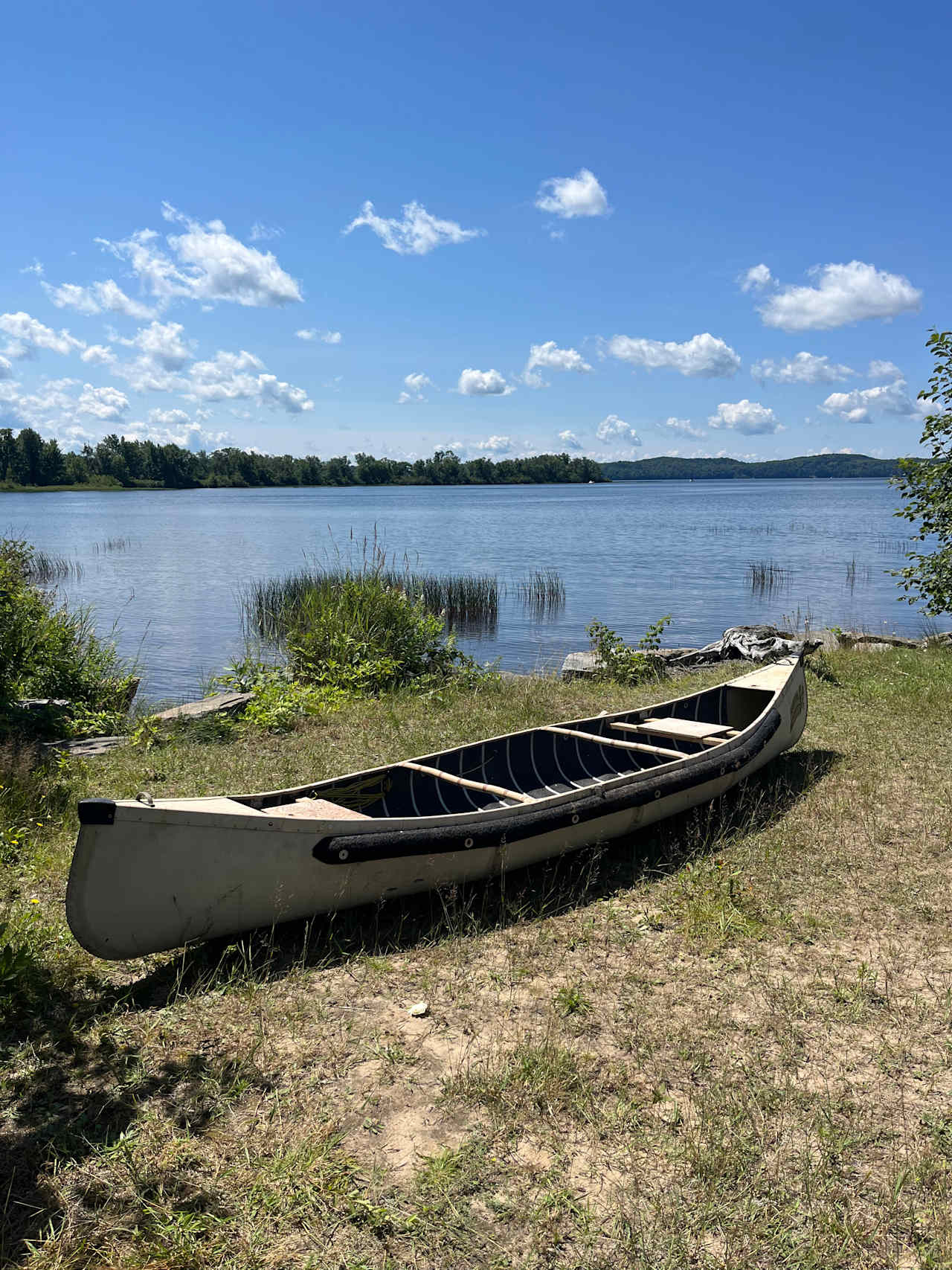 Muskoka Wellness Retreat