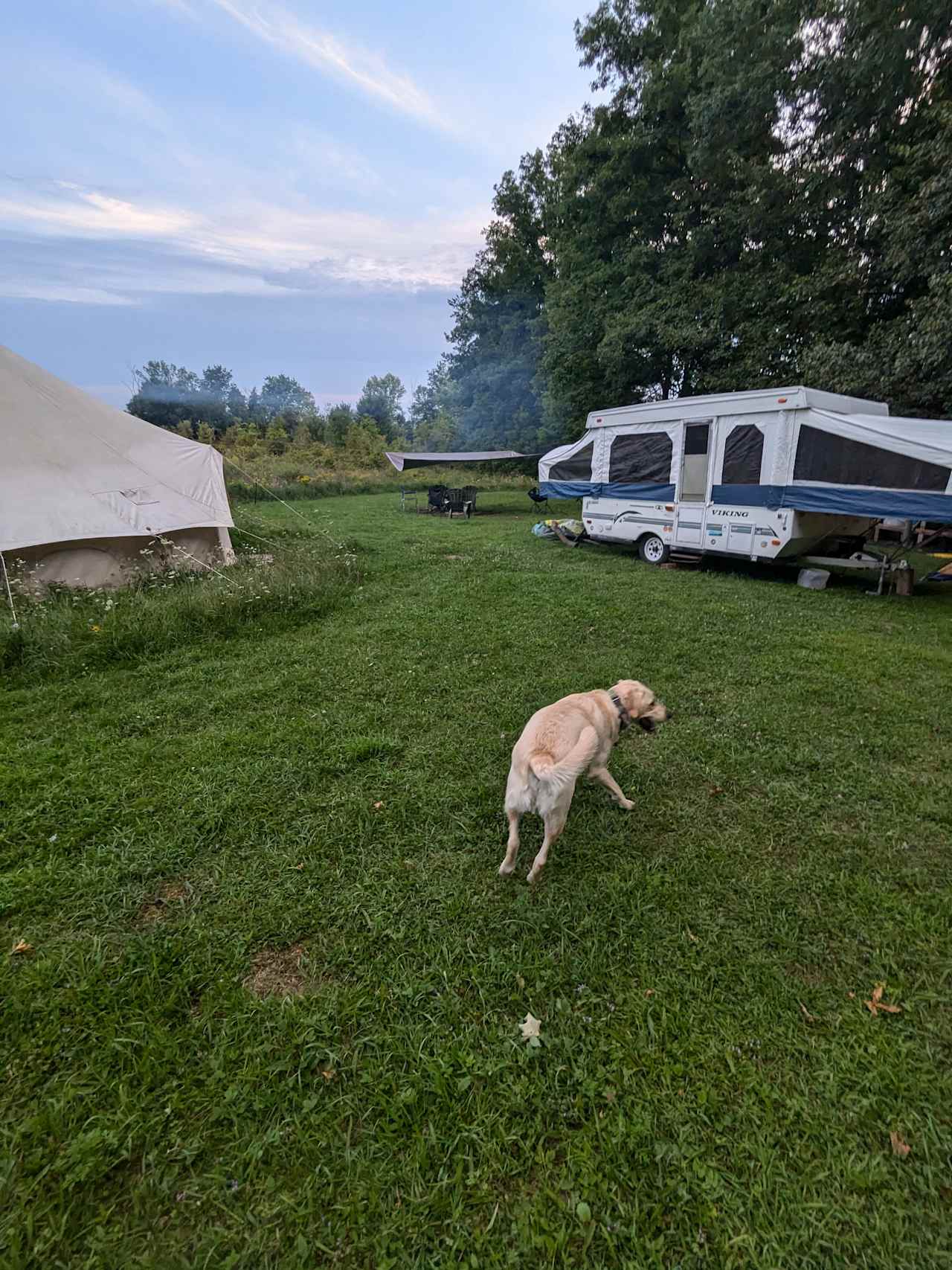 Field of Birds Glamping