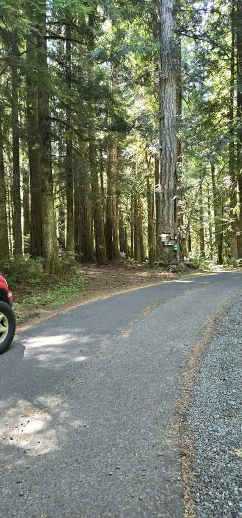 Sutherland Forest Tent Site