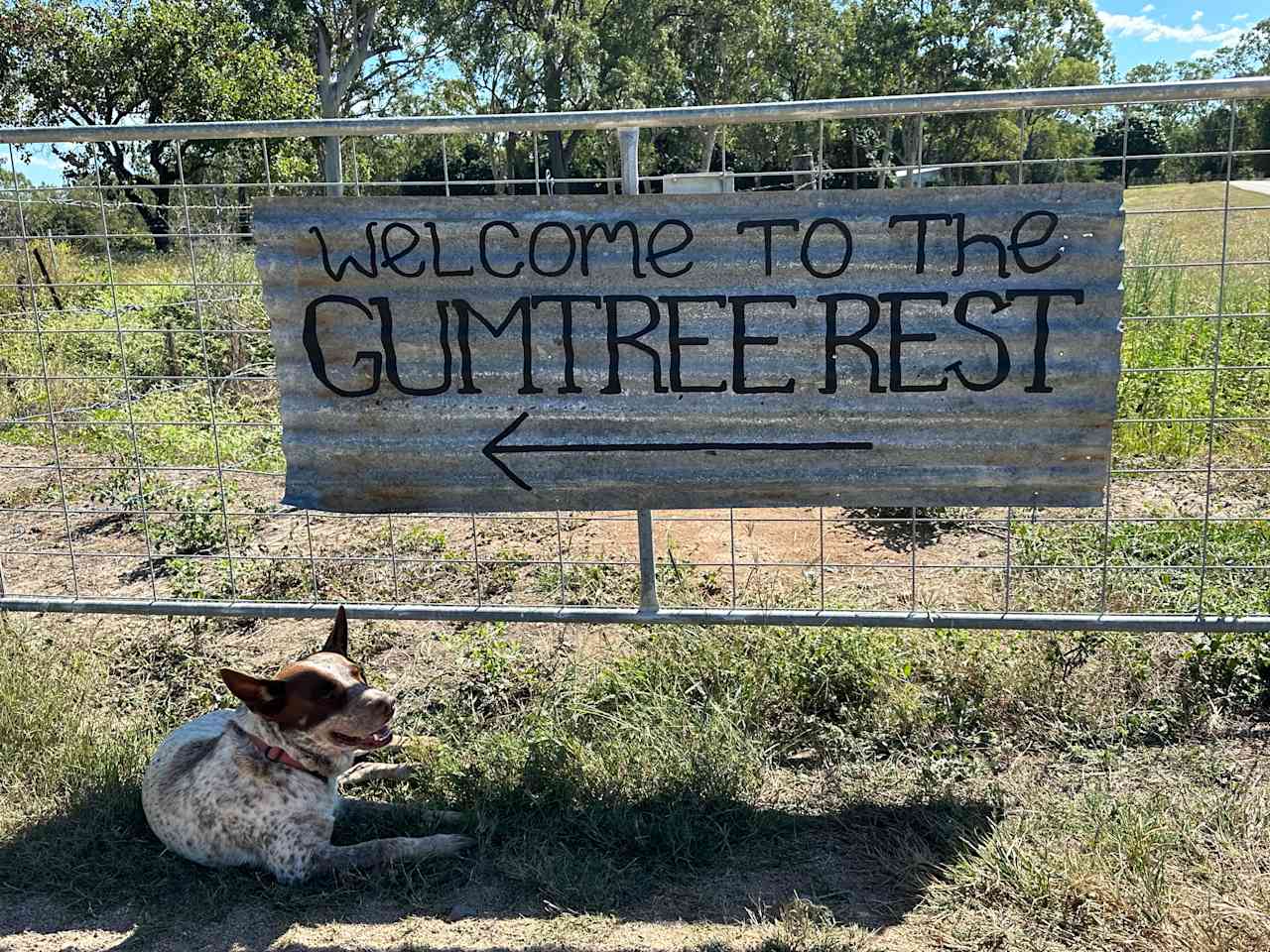 Gumtree Rest