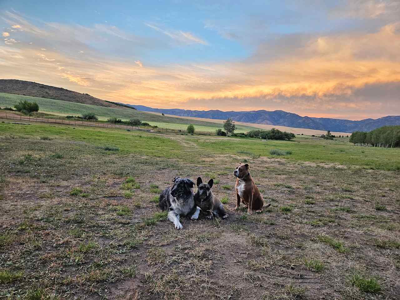 Secluded Ranch Camp