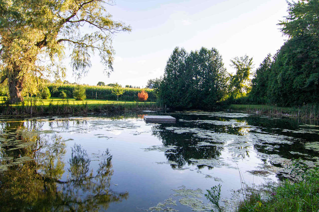 Hidden Oasis Near Elora