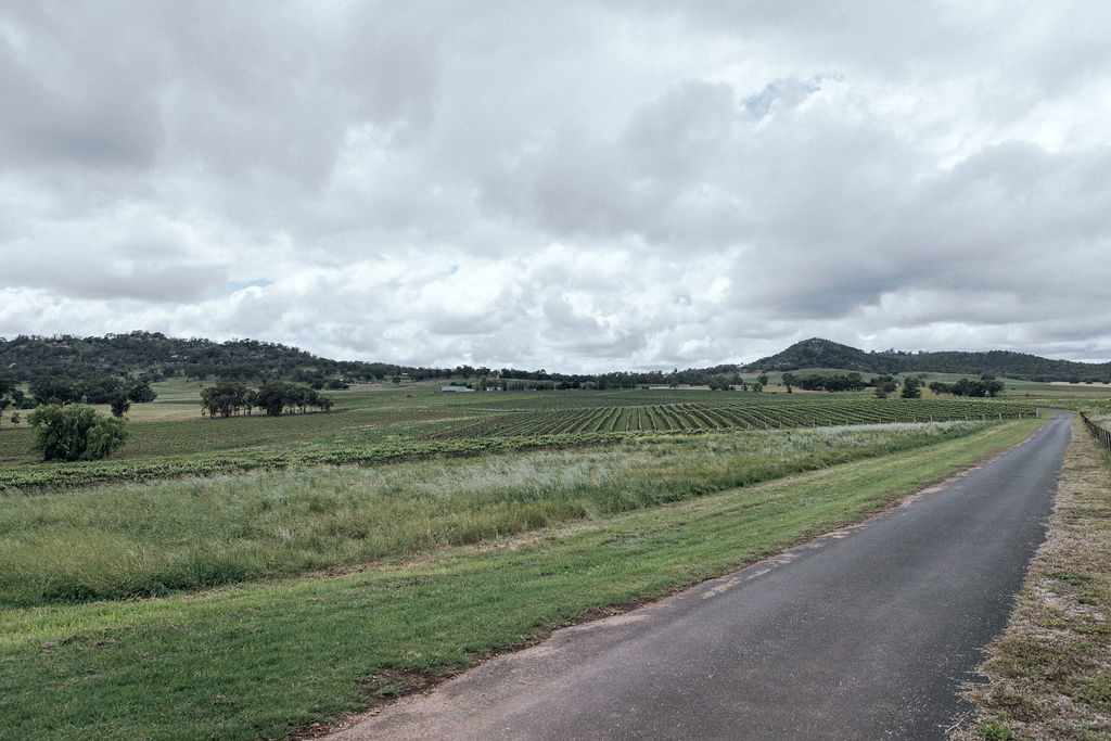 Vans in the Vines Mudgee