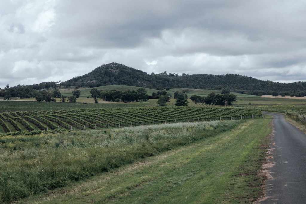 Vans in the Vines Mudgee