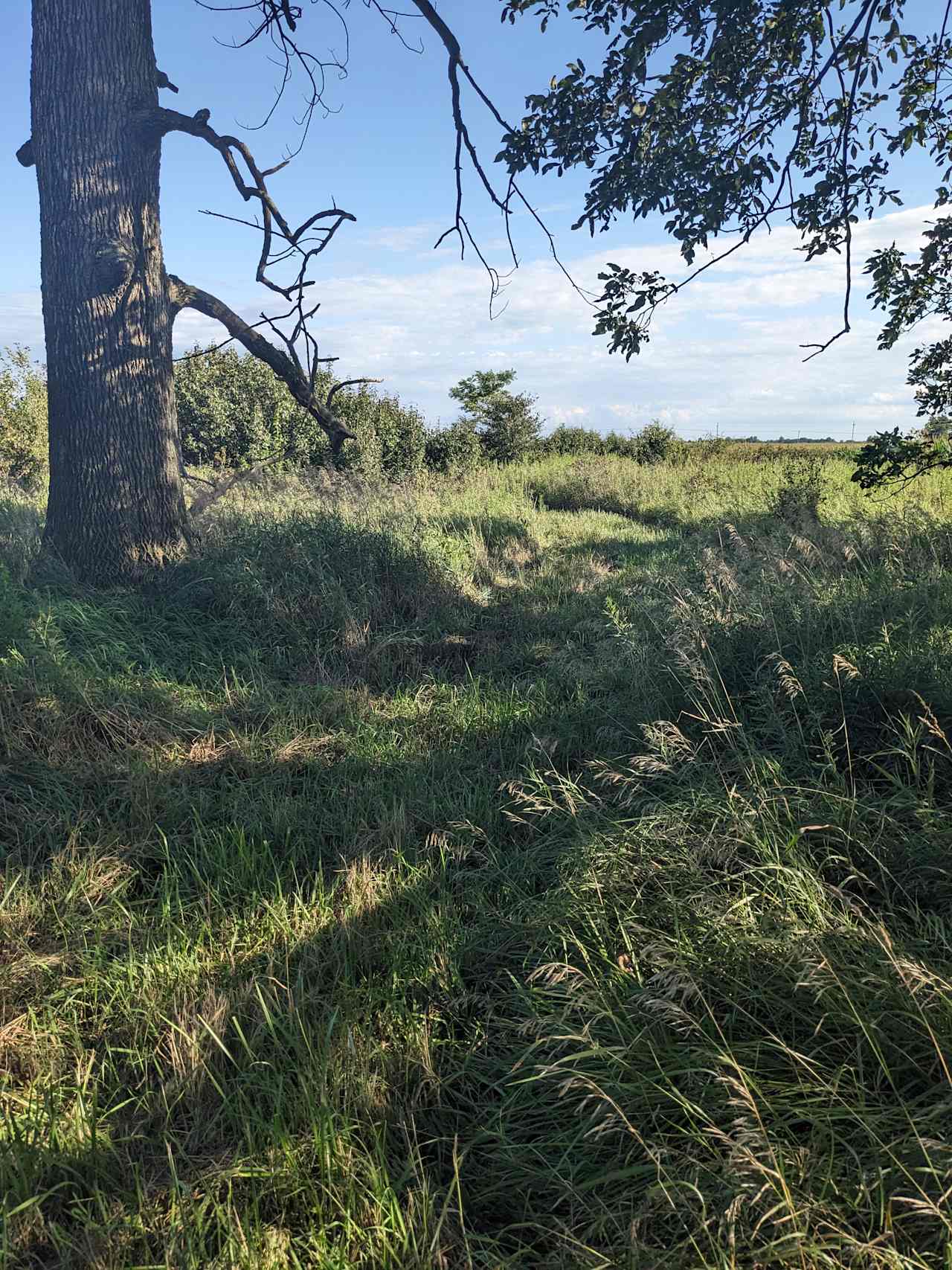 Powers Farm Camp Site